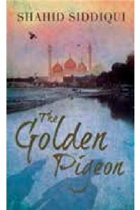 Golden Pigeon