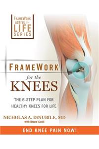 Framework for the Knee