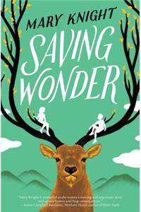 Saving Wonder