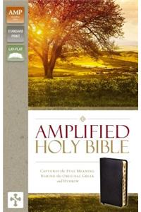 Amplified-Am: Captures the Full Meaning Behind the Original Greek and Hebrew