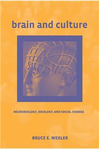 Brain and Culture