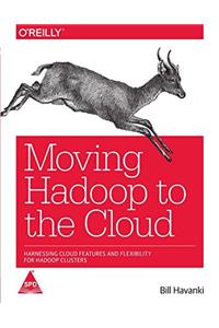 Moving Hadoop to the Cloud: Harnessing Cloud Features and Flexibility for Hadoop Clusters