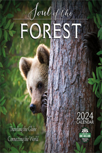 Soul of the Forest 2024 Wall Calendar