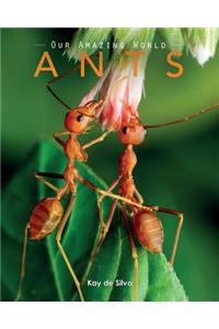 Ants