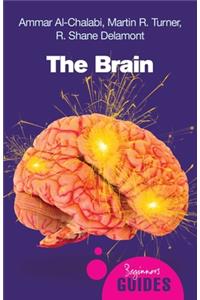 The Brain: A Beginner's Guide