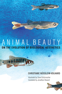 Animal Beauty: On the Evolution of Biological Aesthetics