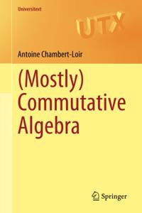 (Mostly) Commutative Algebra