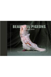 Beautiful Pigeons Postcard Book