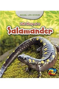 Life Story of a Salamander