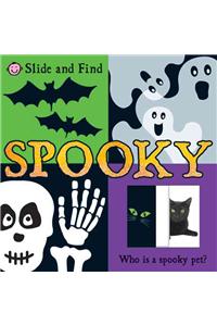 Slide and Find Spooky