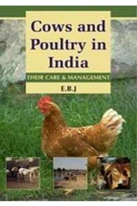 Cows And Poultry In India