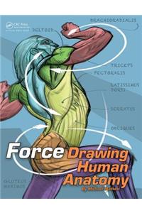 Force: Drawing Human Anatomy