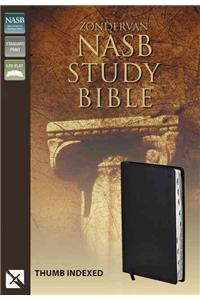 Study Bible-NASB