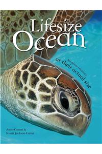 Lifesize: Ocean