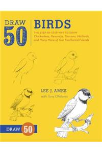 Draw 50 Birds