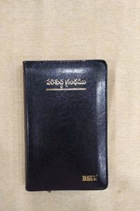 Telugu Bible OV 27 ZTI