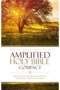 Amplified Holy Bible, Compact, Hardcover