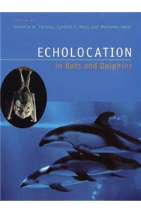 Echolocation in Bats and Dolphins