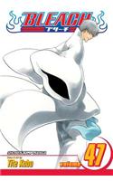 Bleach, Vol. 47