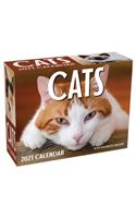 Cats 2021 Mini Day-To-Day Calendar