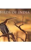 India: Images Of Nature