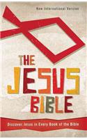 Jesus Bible-NIV