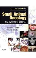 Small Animal Oncology