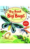 The Usborne Big Book of Big Bugs: And a Few Little Ones Too...