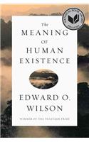 Meaning of Human Existence