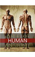 Atlas of Human Anatomy