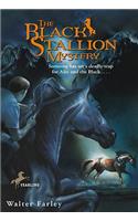 Black Stallion Mystery