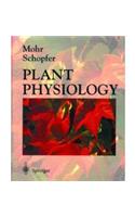 Plant Physiology