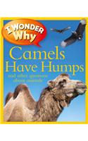 I Wonder Why Camels Have Humps