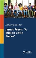 Study Guide for James Frey's 