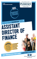 Assistant Director of Finance (C-4501)