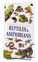 Animals: Reptiles and Amphibians