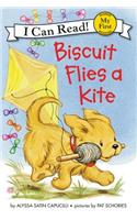 Biscuit Flies a Kite