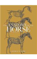 The Anatomy of the Horse