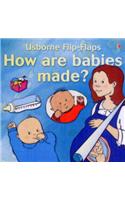 How Are Babies Made