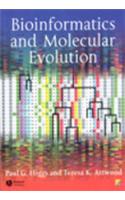 Bioinformatics & Molecular Evloution