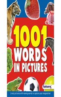 1001 Words in Picture