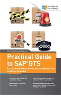 Practical Guide to SAP GTS