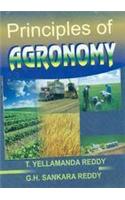 Principles Of Agronomy