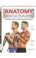 Anatomy of Muscle Building