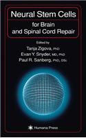 Neural Stem Cells for Brain and Spinal Cord Repair