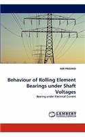 Behaviour of Rolling Element Bearings under Shaft Voltages