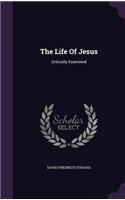 The Life Of Jesus