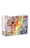 Rainbow Seashells 2000 Piece Puzzle