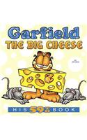 Garfield the Big Cheese