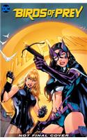 Birds of Prey: Hero Hunters